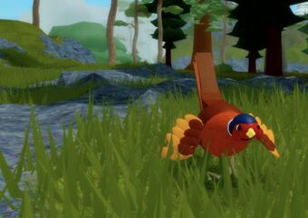 Pheasant Feather Family Roblox Wiki Fandom - phoenix roblox feather family