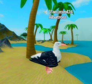 Albatross Feather Family Roblox Wiki Fandom - roblox feather family videos