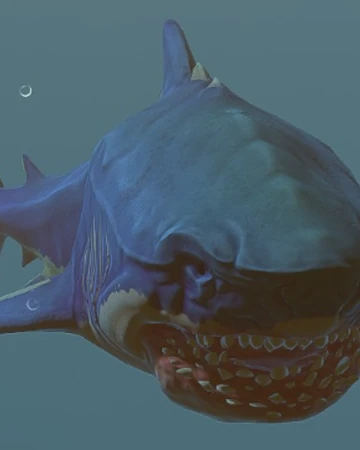 feed and grow fish videos