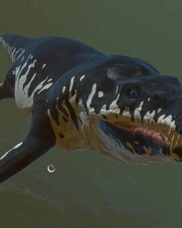 feed and grow fish videos