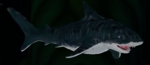Tiger Shark | Feed and Grow Fish Wikia | Fandom