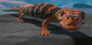 Fish Feed And Grow Aigialosaurus