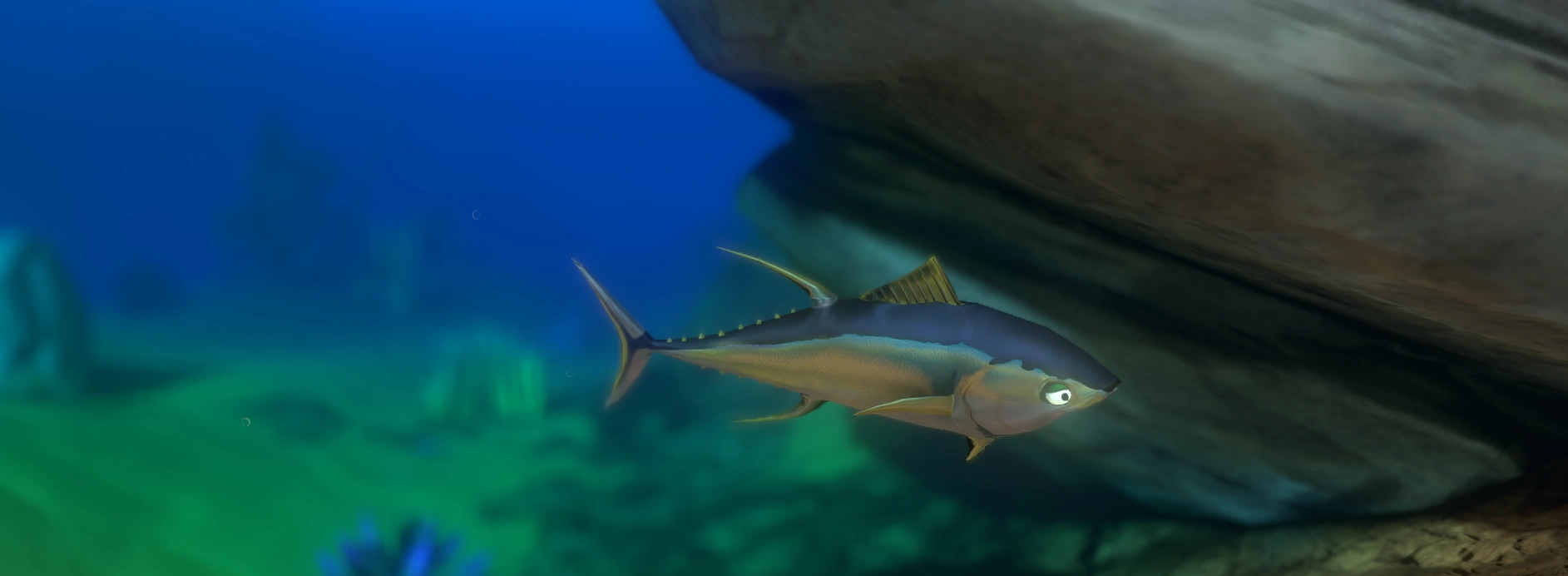 Tuna Feed and Grow Fish Wikia Fandom