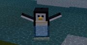 Pengino!