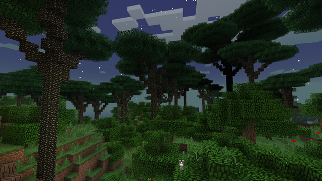 File:Canopytrees.png