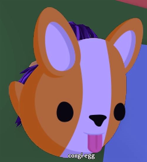 Corgi Feed Your Pets Roblox Wiki Fandom - 1 codigo do jogo corgi feed your pets no roblox youtube