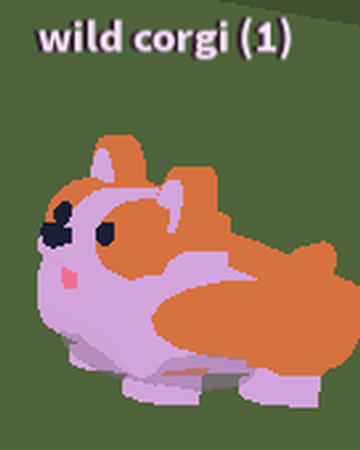 feed your pets roblox wiki Corgi Feed Your Pets Roblox Wiki Fandom
