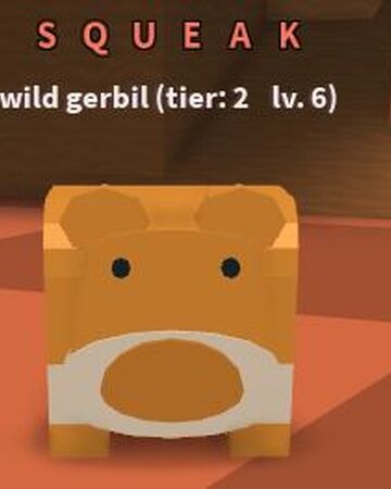 Gerbil Feed Your Pets Roblox Wiki Fandom - roblox feed your pets code wiki