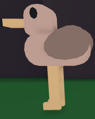 Seagull Feed Your Pets Roblox Wiki Fandom - emerald feed your pets roblox wiki fandom