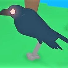 Crow Feed Your Pets Roblox Wiki Fandom