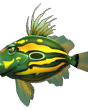 J D Feeding Frenzy Wiki Fandom
