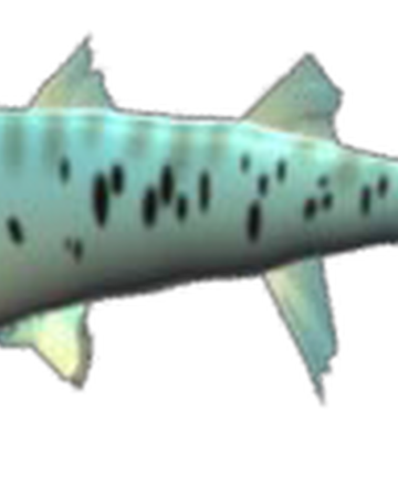 Barracuda Feeding Frenzy Wiki Fandom