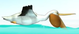Pelican 2