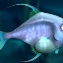 Fish Feeding Frenzy 2 Wiki Fandom