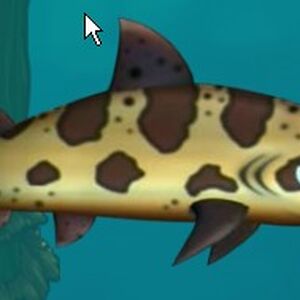 Fish Feeding Frenzy 2 Wiki Fandom