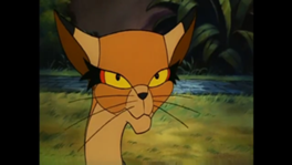 Felidae-cat