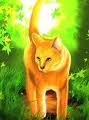 ThunderClan ruler.