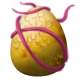 Ocirinegg