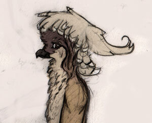Ansketch