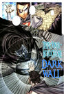 Darkwall