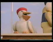 PelicanPete
