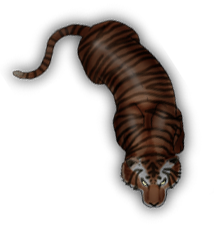 Tigertoken