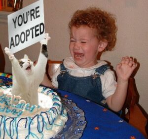 Youre adopted cat