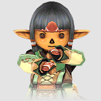Summoner Ffxiclopedia Fandom