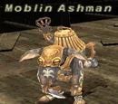 Moblin Ashman
