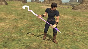 Aern Staff Ingame