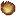 Trans Fire