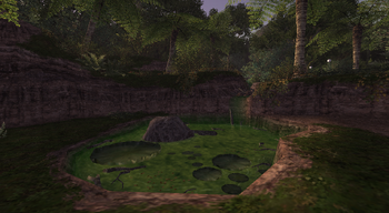 Rank 1 Pond
