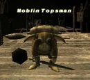 Moblin Topsman