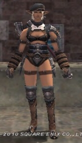 DarksteelHarnessSet