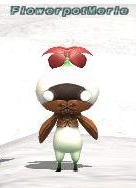 Merle