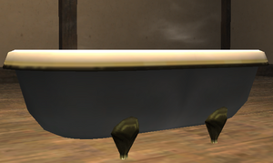 Bathtub in Moghouse