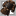 26869