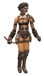 Bronze Armor Set