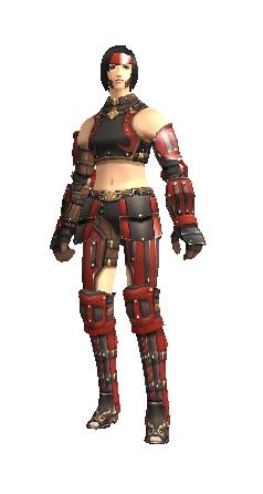Fighter's Armor +1 Set | FFXIclopedia | FANDOM powered by Wikia