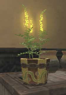 WoodenFlowerPot