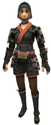 Kirin's Armor