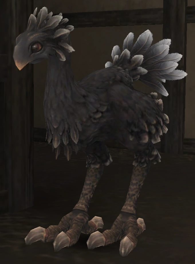 Arael's Chocobo Raising Guide FFXIclopedia Fandom