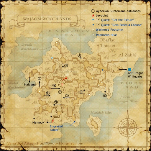 Wajaom Woodlands/Maps FFXIclopedia FANDOM powered by Wikia