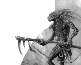 Kroot