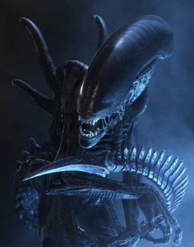 Xenomorfo