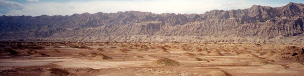 Habitat-desert