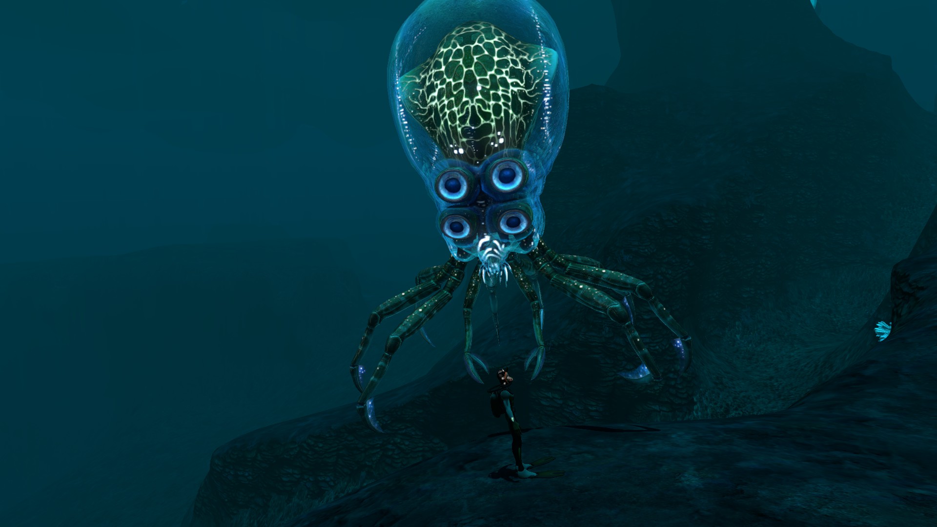 Crabsquid | Fiction Taxonomy Wiki | FANDOM powered by Wikia