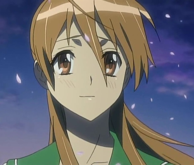 rei miyamoto fiction wrestling multiverse wiki fandom rei miyamoto fiction wrestling multiverse wiki fandom