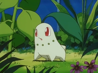 200px-Ash Chikorita