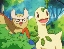 Noctowl and Bayleef